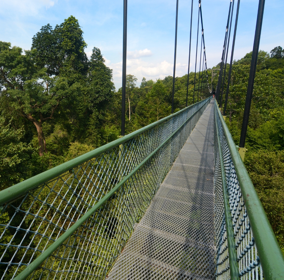 Of Luxury Travel and Soft Adventures