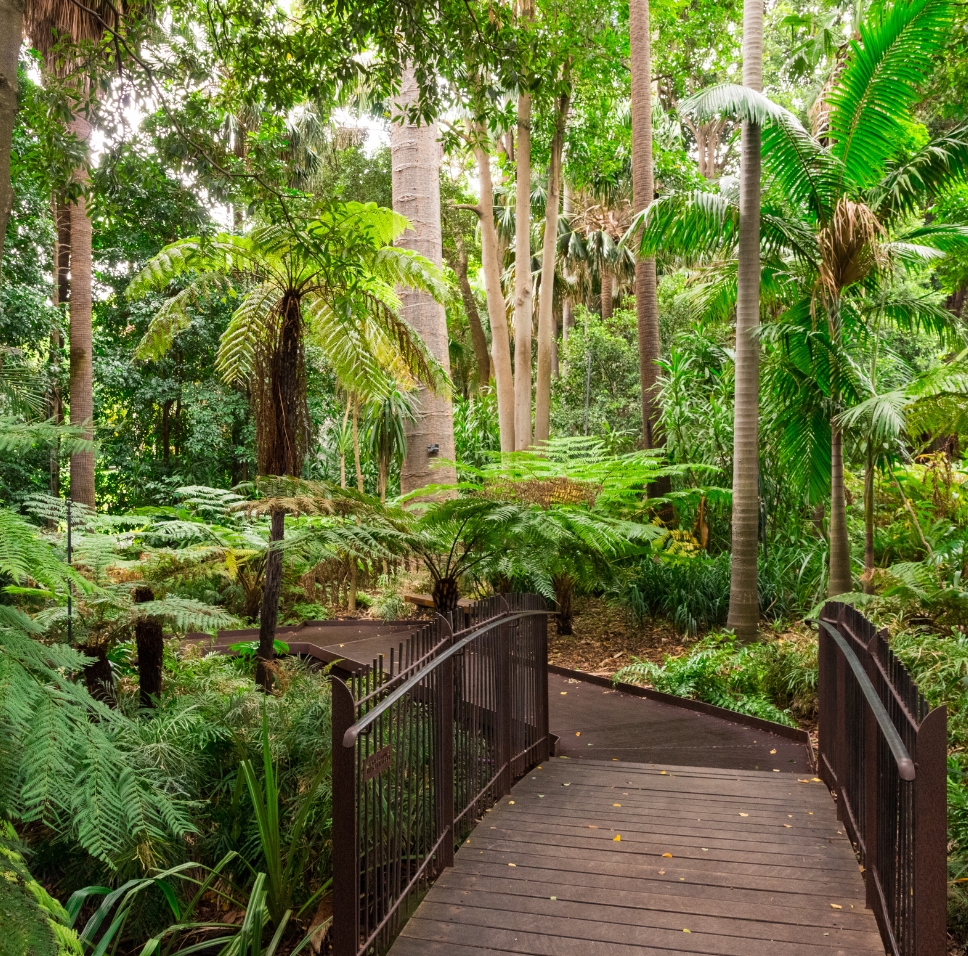 Of Luxury Travel and Soft Adventures