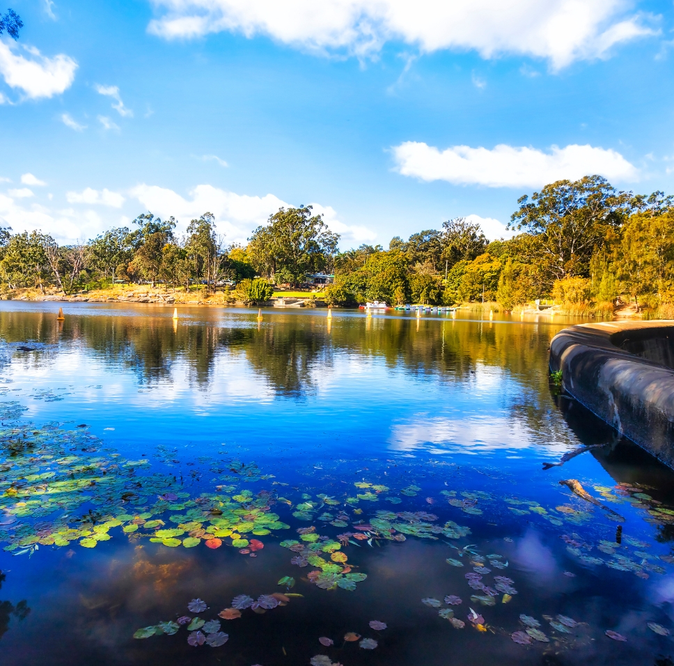 Parramatta Uncovered