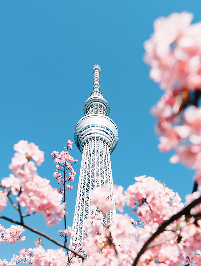 Discover Japan