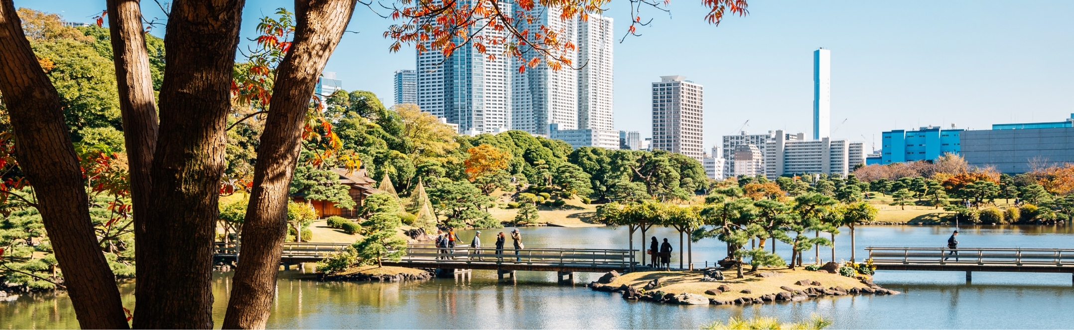 Hamarikyu Gardens pond and autumn maple in Tokyo, Japan