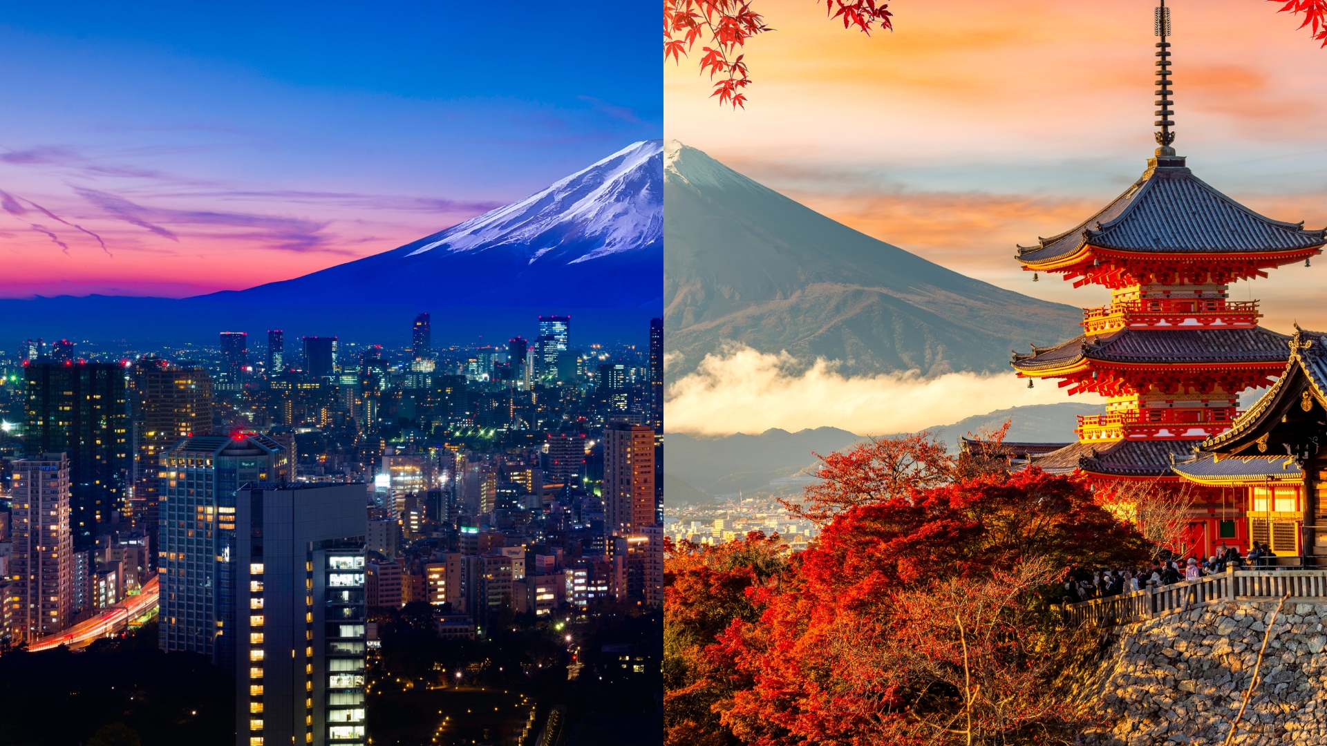 Tokyo or Kyoto: Which To Visit First?