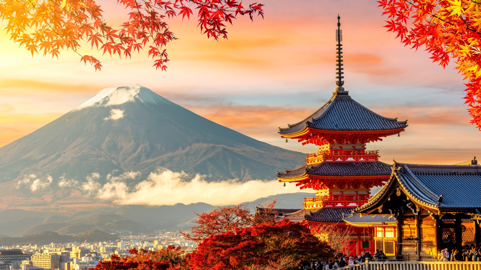 Kyoto's Essential Culture and Experiences