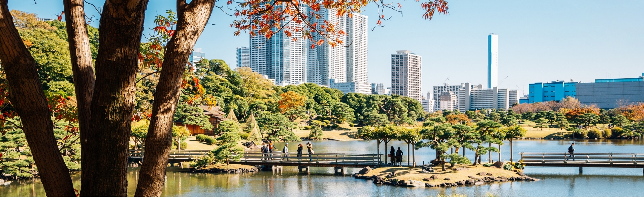 Hamarikyu Gardens pond and autumn maple in Tokyo, Japan