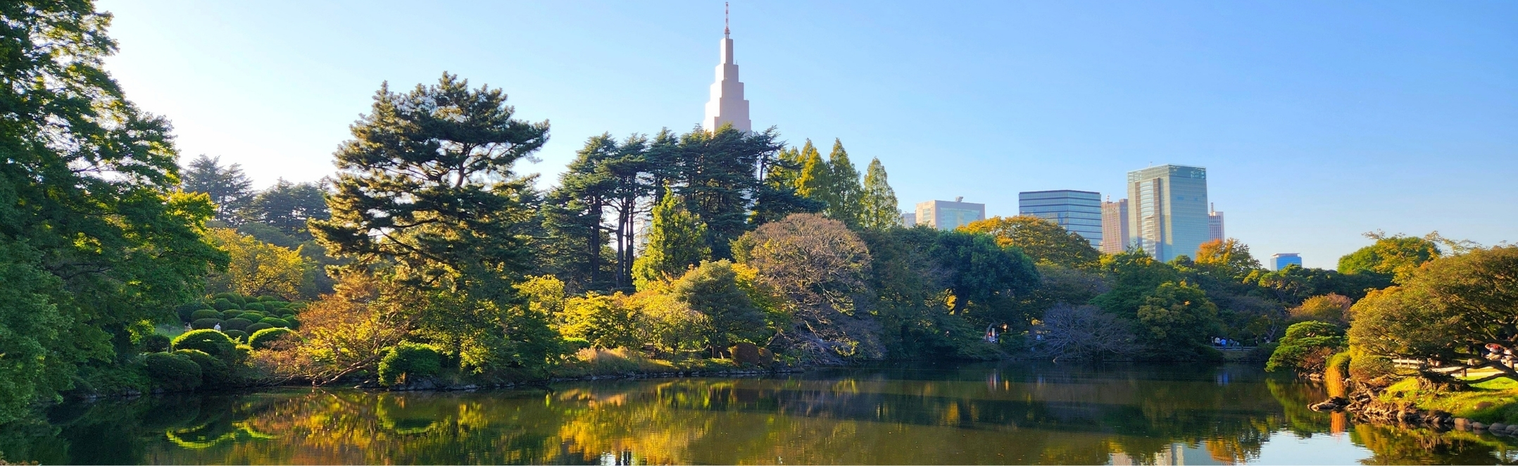 Shinjuku Gyoen National Garden in Tokyo, Japan.