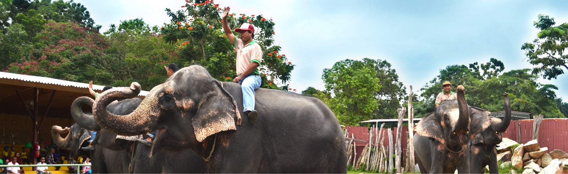 Elephant rides at Safari Wonderland in Malacca, Malaysia.