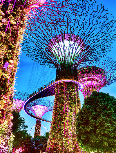 Discover Singapore