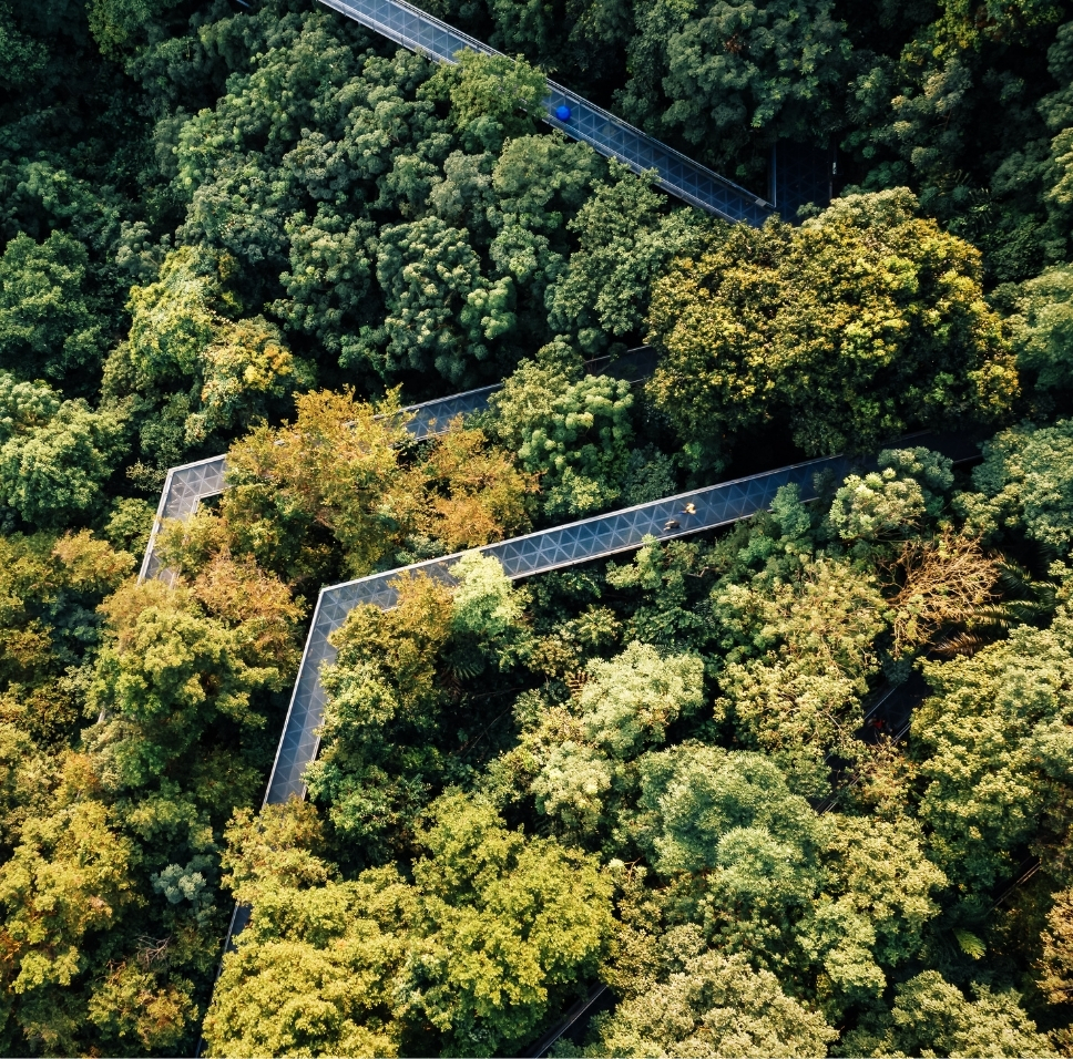 Singapore’s Spectacular Photography Spots