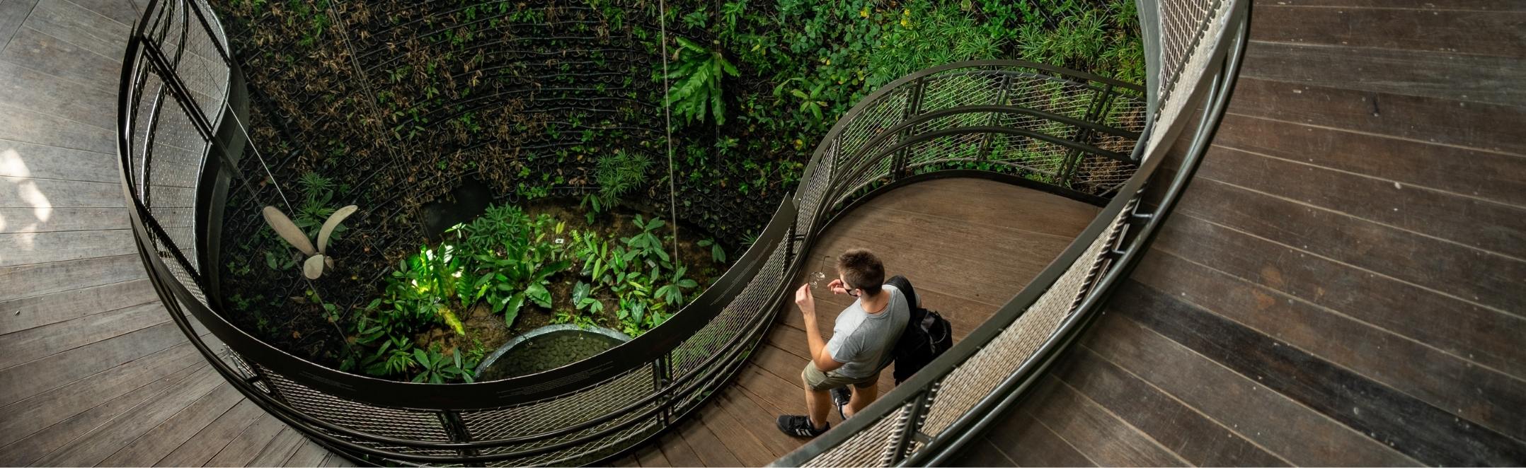 The Singapore Pavilion at Expo 2022 Dubai, UAE.