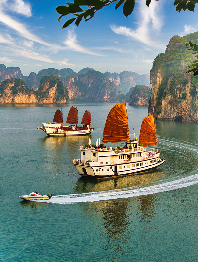 Discover Vietnam
