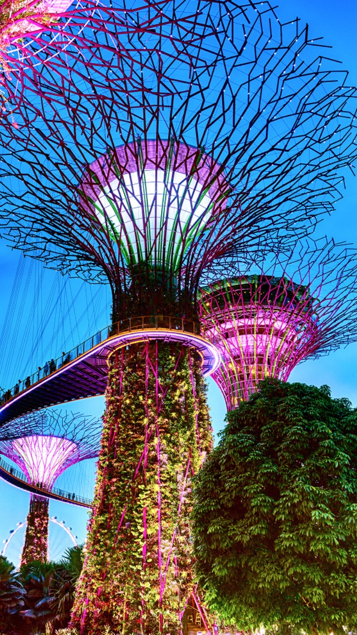 Singapore