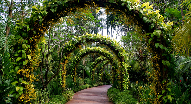 Guide to Ecotourism in Kuala Lumpur and Singapore
