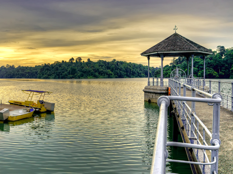 The Essential Eco Travel Guide to Singapore