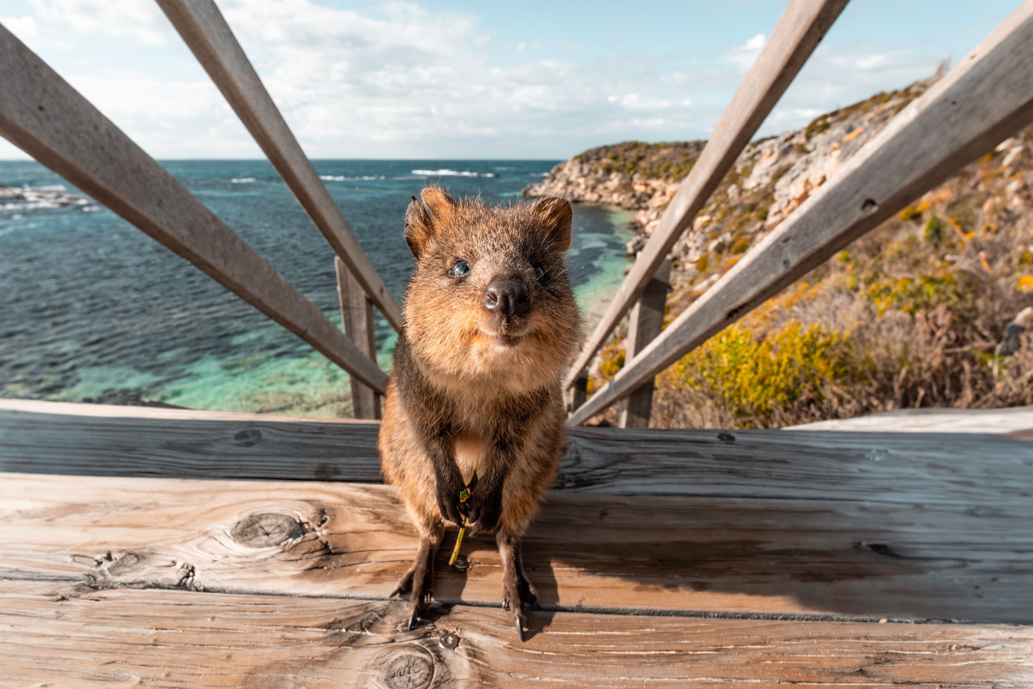 Image credit @Tourism WA