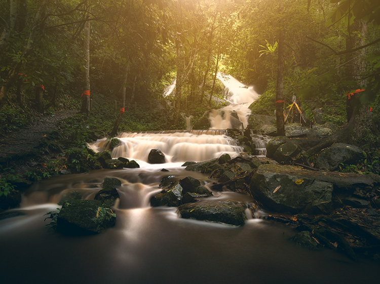 Karura forest waterfall