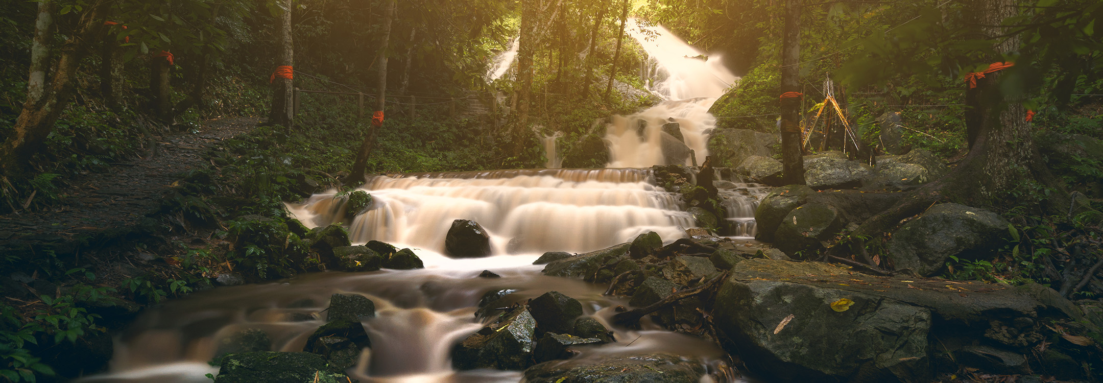 Karura forest waterfall
