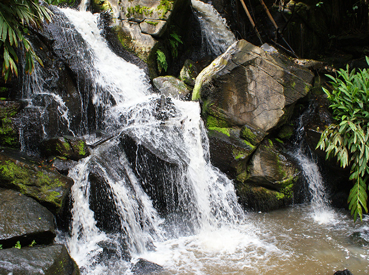 Waterfalls at Oloolua Nature Trail