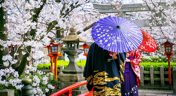 The Best of Tokyo: A 7-Day Thematic Itinerary