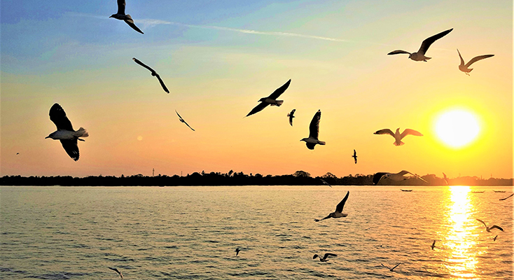 5 Unusual Things to do in Yangon for Couples