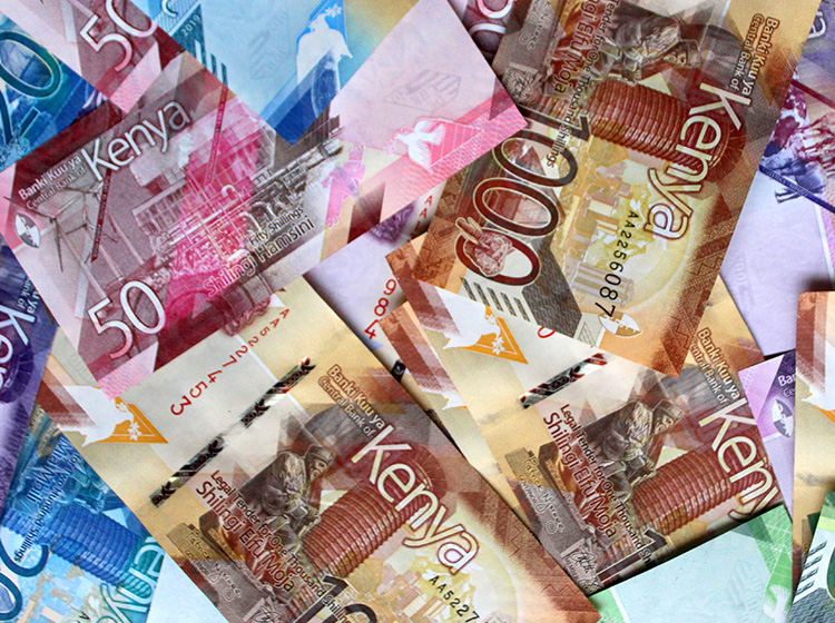 Kenyan Shilling 