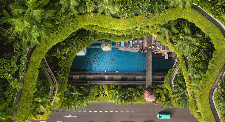 Top Green Activities for Your Singapore Staycation