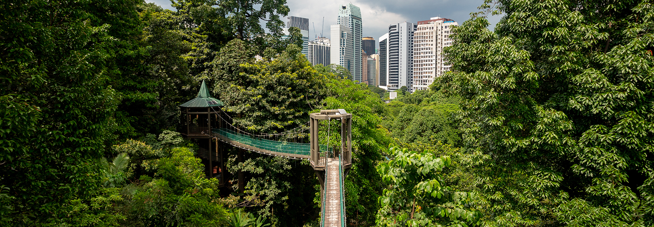 Kuala Lumpur Forest Eco Park
