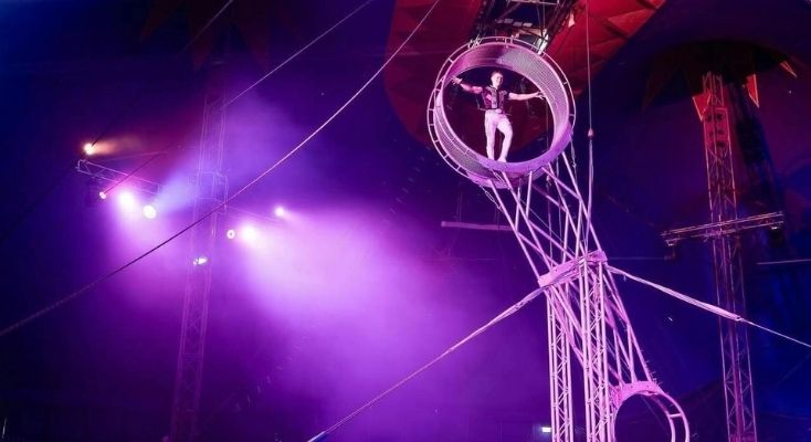 Stardust Circus Manly