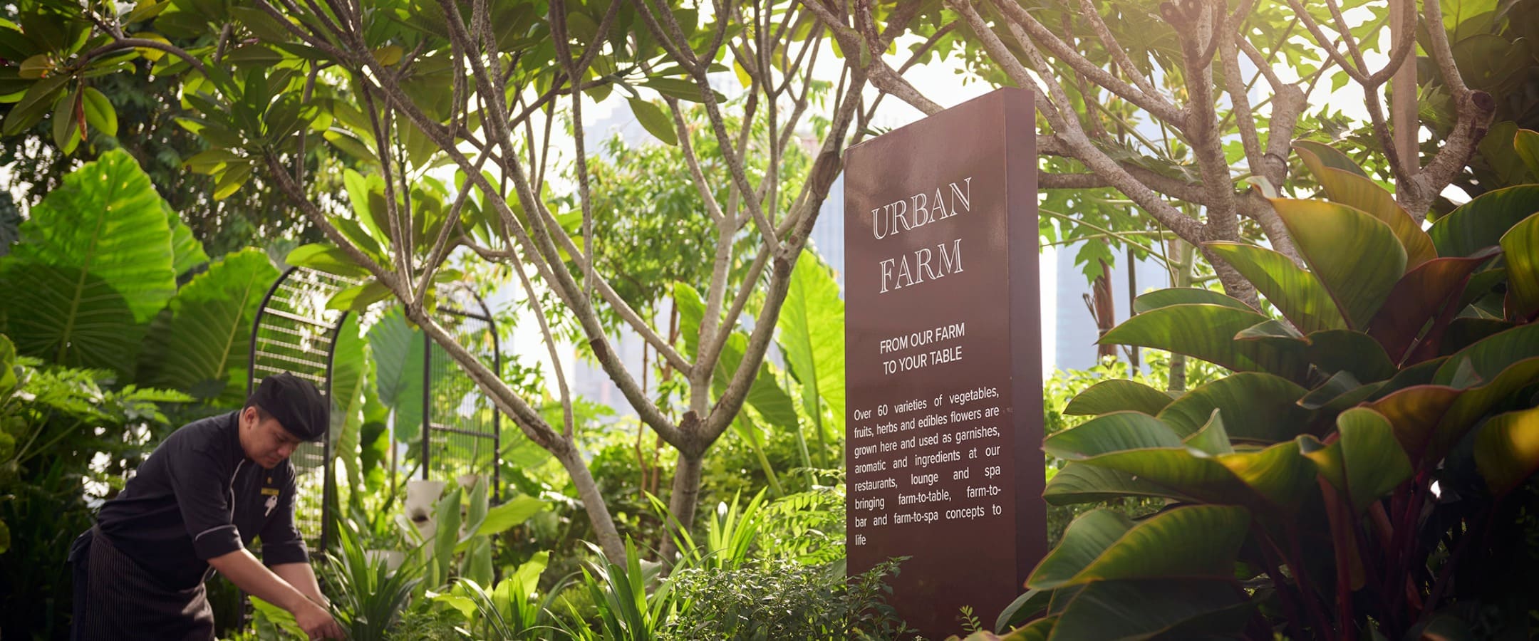 アーバンファーム